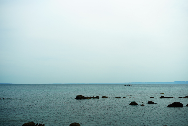 ホタテ漁をする陸奥湾